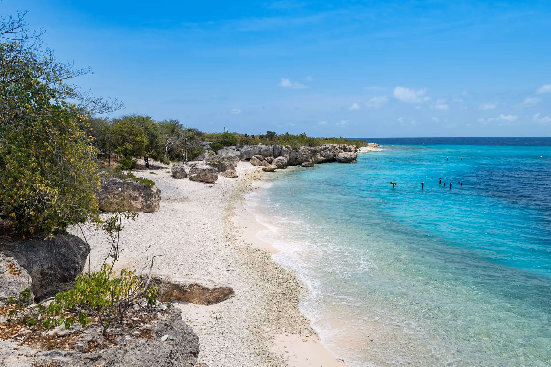 Turquoise shallows and the rocky shoreline of Director's Bay with swimmers