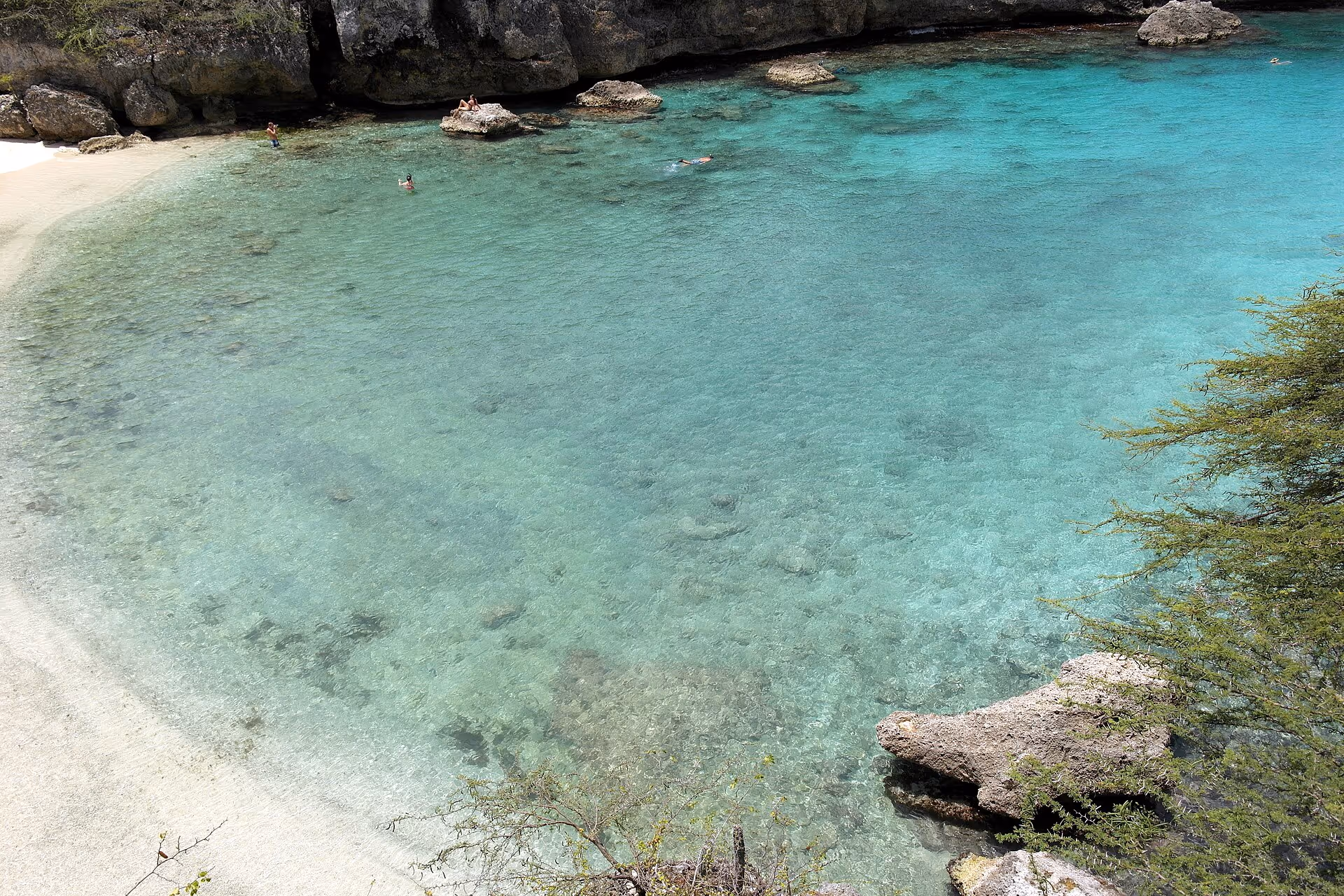 Elevated view into the Playa Lagun cove with snorkellers in the water